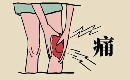 看看这款“隐形护膝”。